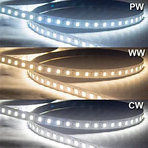 High-Brightness Custom Waterproof IP20 IP65 Single-Color Adjustable Brightness LED Light Strip